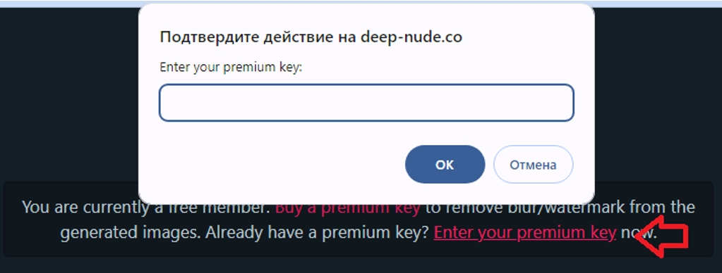 Deep Nude co