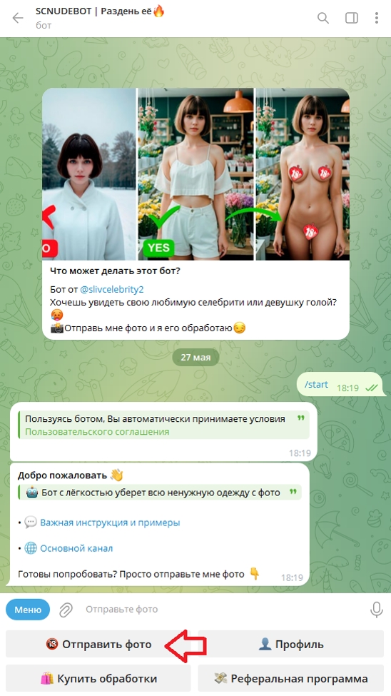 Scnudebot