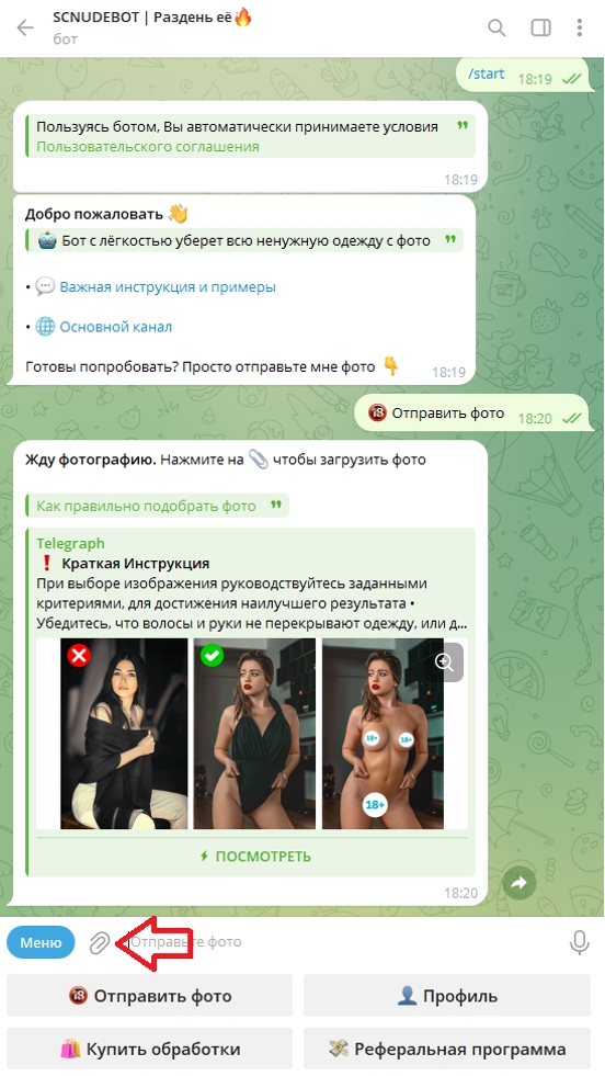 Scnudebot